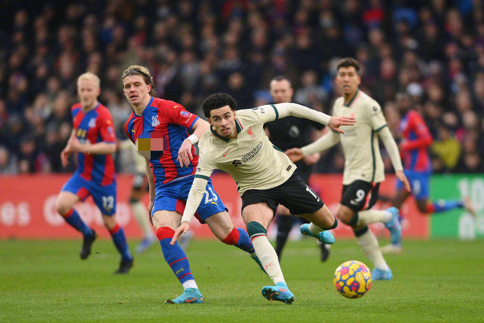 俱乐部迎来 俱乐部迎来